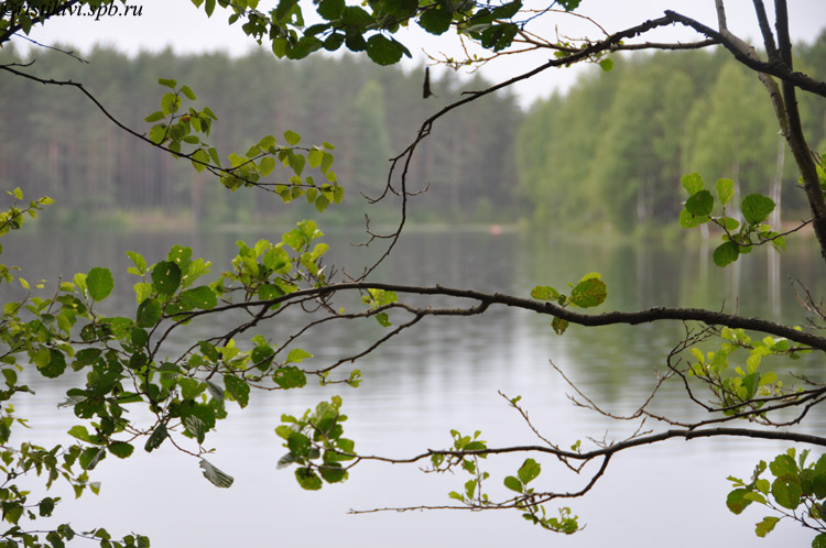   / Lautjärvi