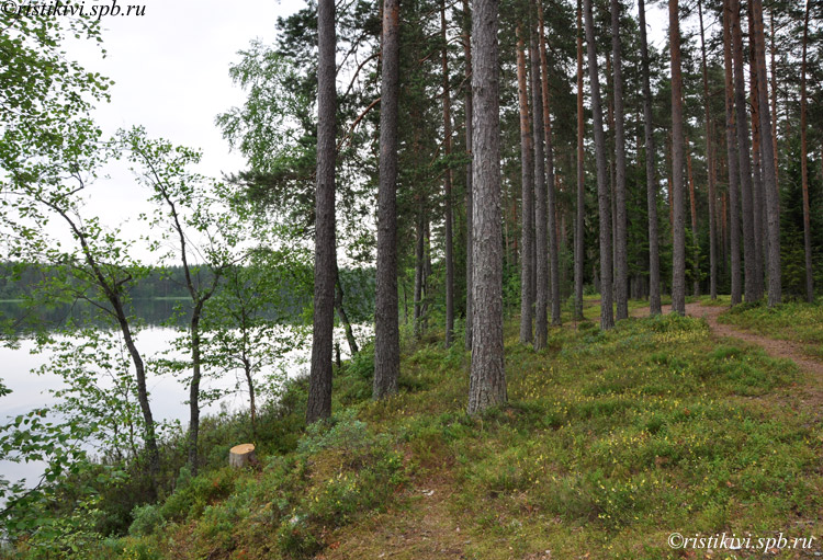 C / Syväjärvi