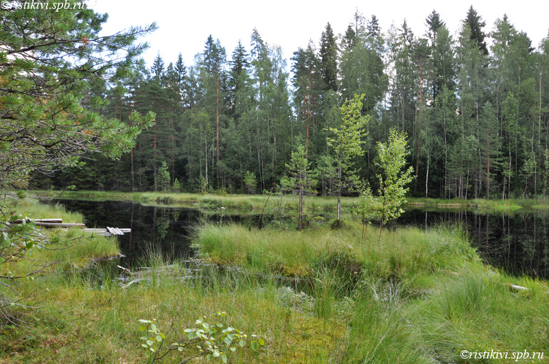   / Mustajärvet