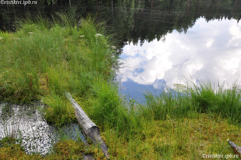   / Mustajärvet