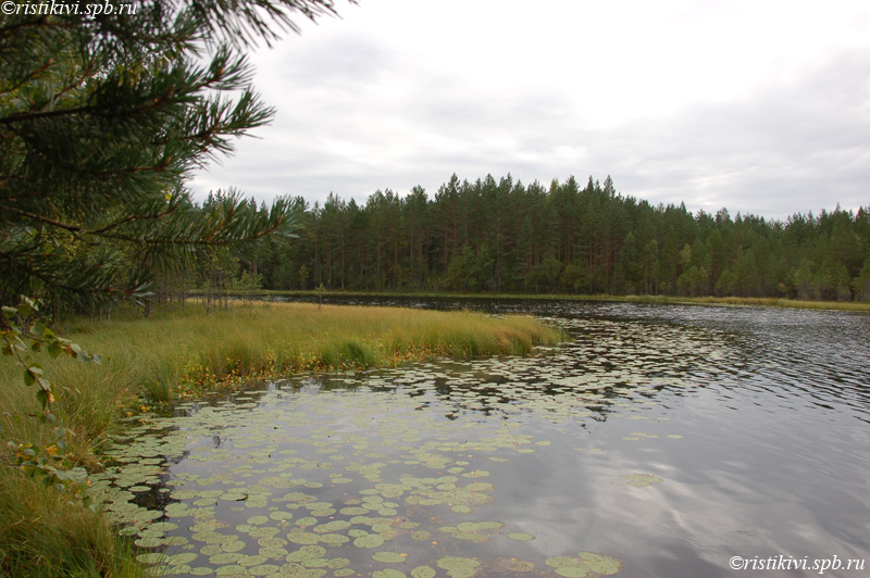   (. ) / Mustajärvi