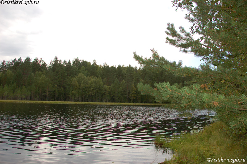   (. ) / Mustajärvi