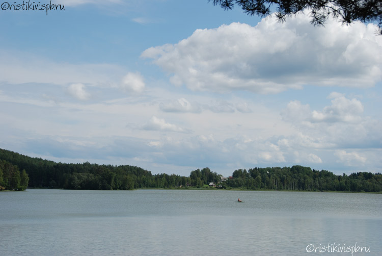   / Petäjärvi