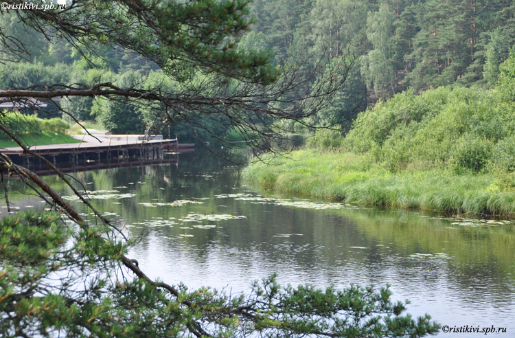   / Vammelsuunjoki