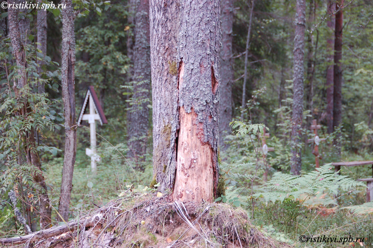    / Palkealan ortodoksinen hautausmaa