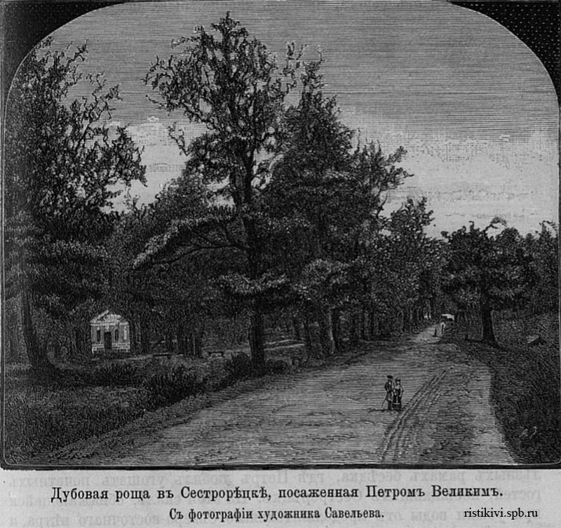 Дубовая роща в Сестрорецке, посаженная Петром Великим Дубовая роща в Сестрорецке, посаженная Петром Великим